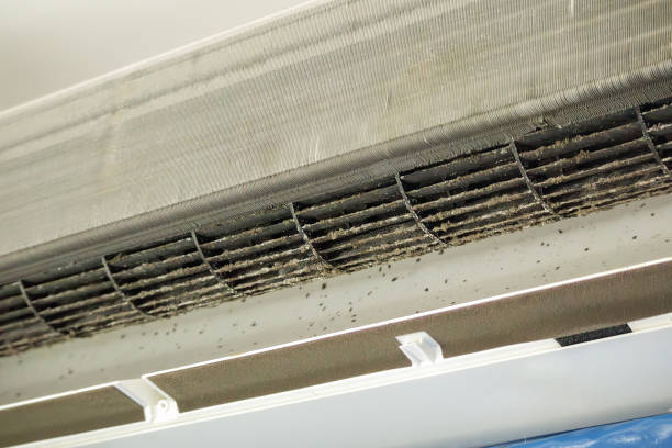Best Affordable Duct Cleaning Services  in Chickasaw, AL